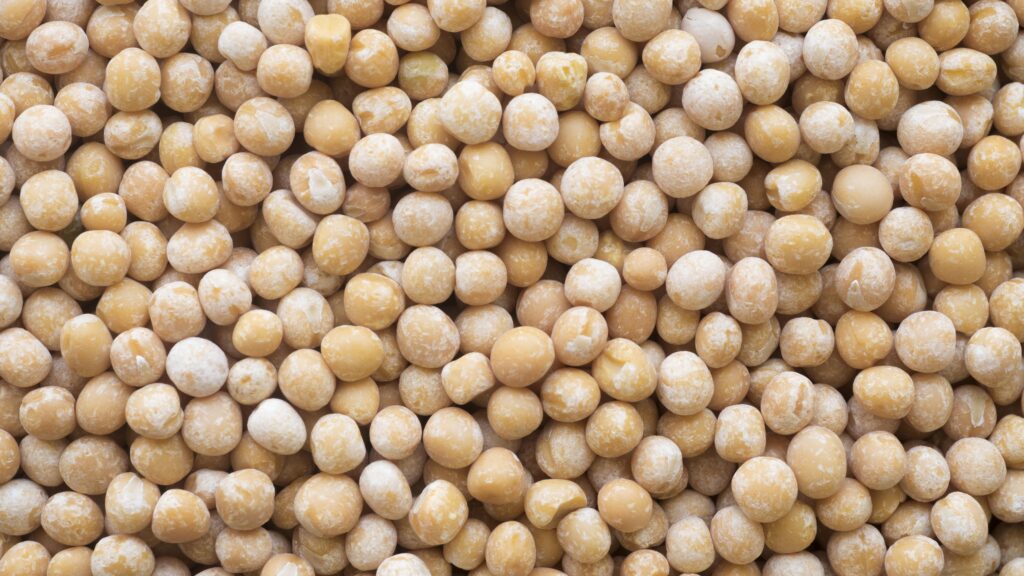 close up view chickpeas concept