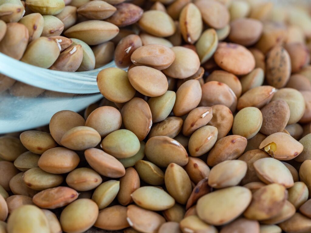 lentil, foodstuff, beige, brown, green, dry, dried, cook, food, diet, healthy, health, foodstuffs, natural, detail, bowl, offer, structure, nature, a whole, color, lentil, lentil, lentil, lentil, lentil