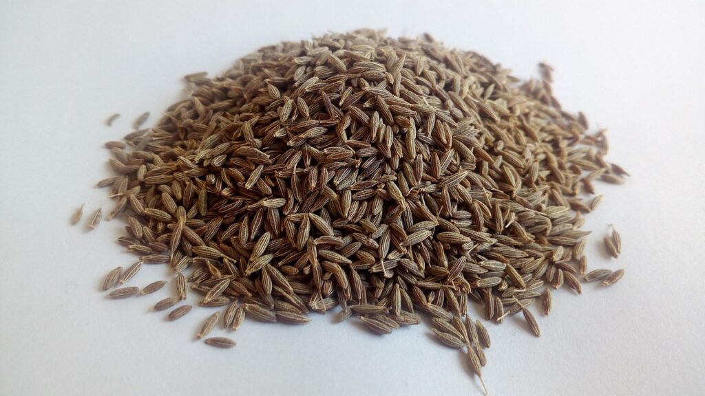 cumin, white cumin, herbs, ayurveda, medicinal herbs, healthy, cumin, cumin, cumin, cumin, cumin