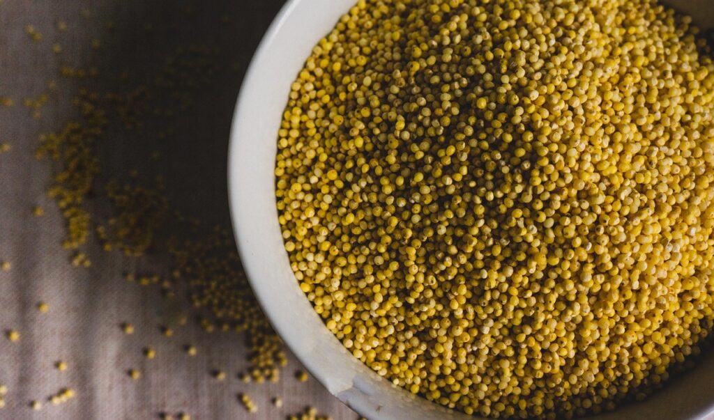 millet, groats, corn, food, cereal, millet, millet, millet, millet, millet