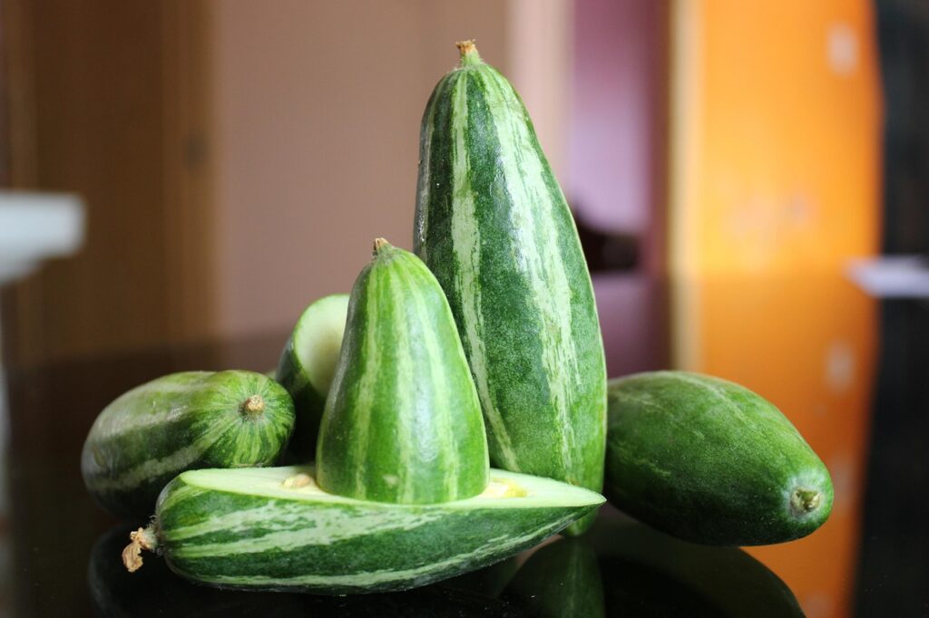 pointed gourd, vegetable, food, fresh, healthy, sliced, organic, produce, harvest, pointed gourd, pointed gourd, pointed gourd, pointed gourd, pointed gourd
