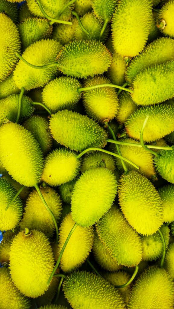 A vibrant display of fresh spiny gourds with unique textures and bright colors.