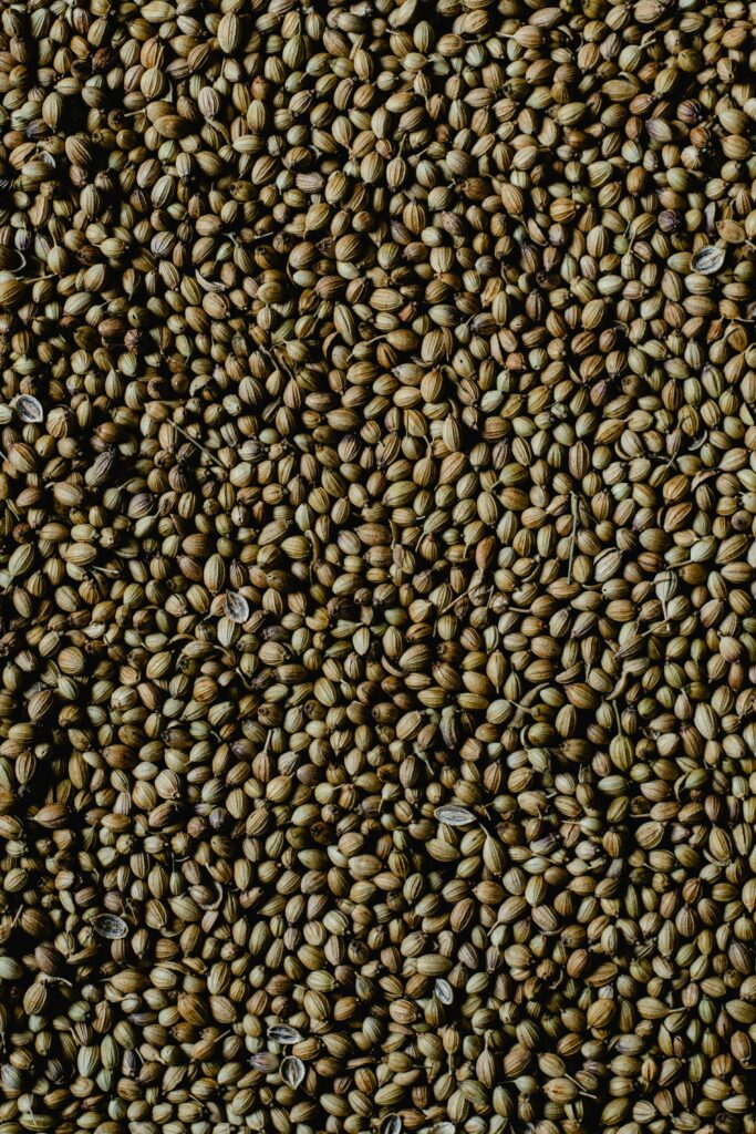 High-resolution vertical image of coriander seeds showcasing texture and natural color.