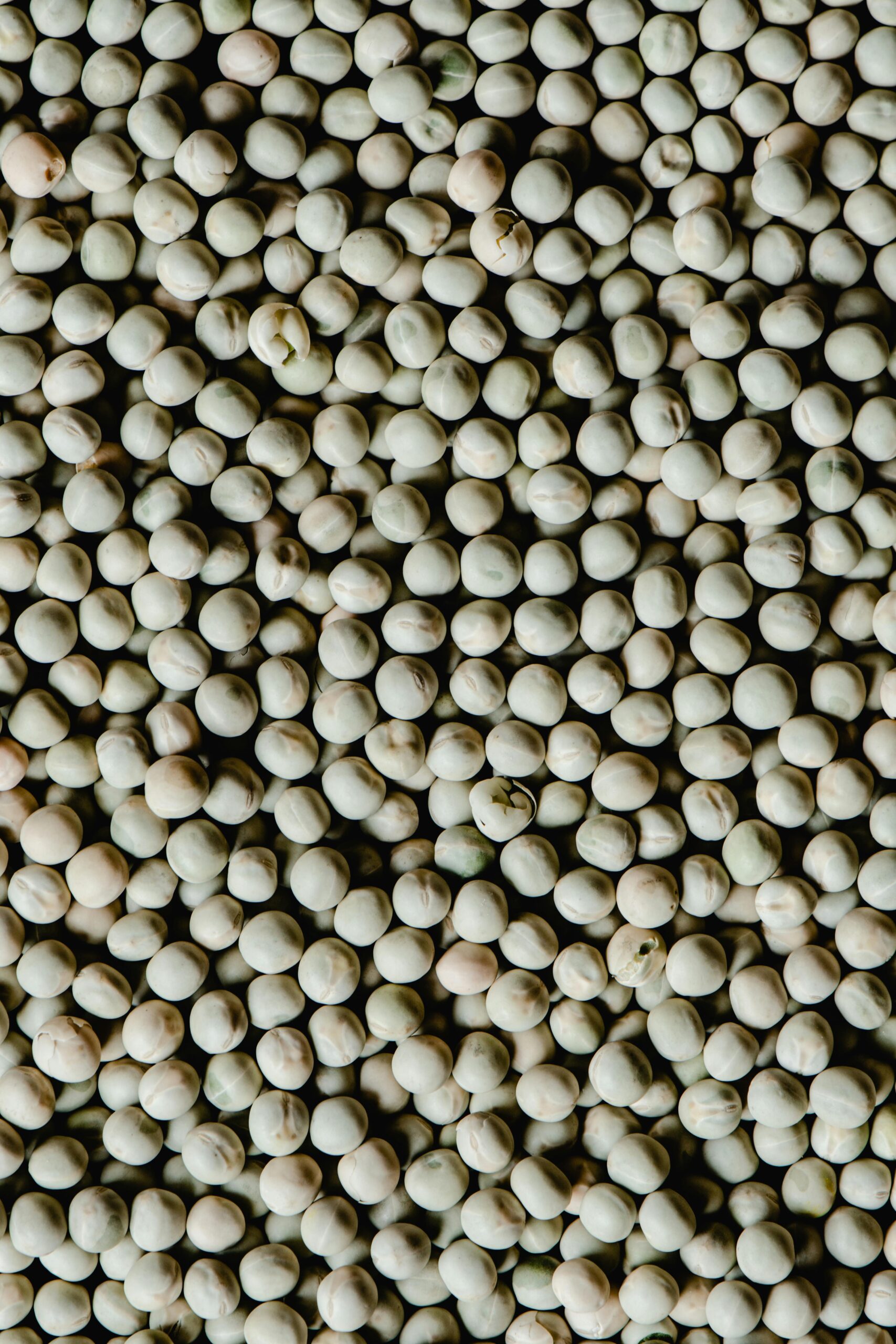 A close-up vertical shot of dried organic peas, ideal for healthy food concepts.
